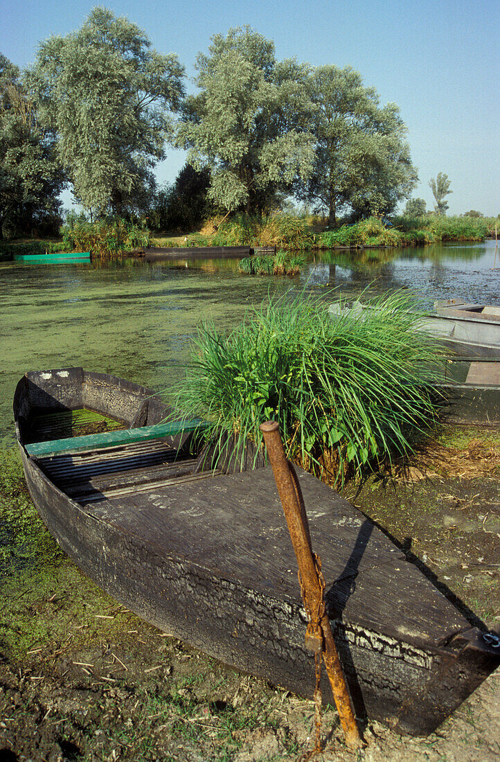 Boat at lake, Grand Briere, Boat Brittany, France