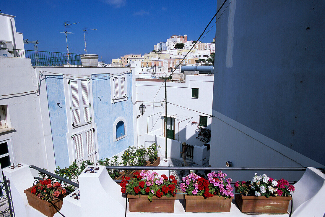 Weiße Häuser auf Ponza, Latium, Italien