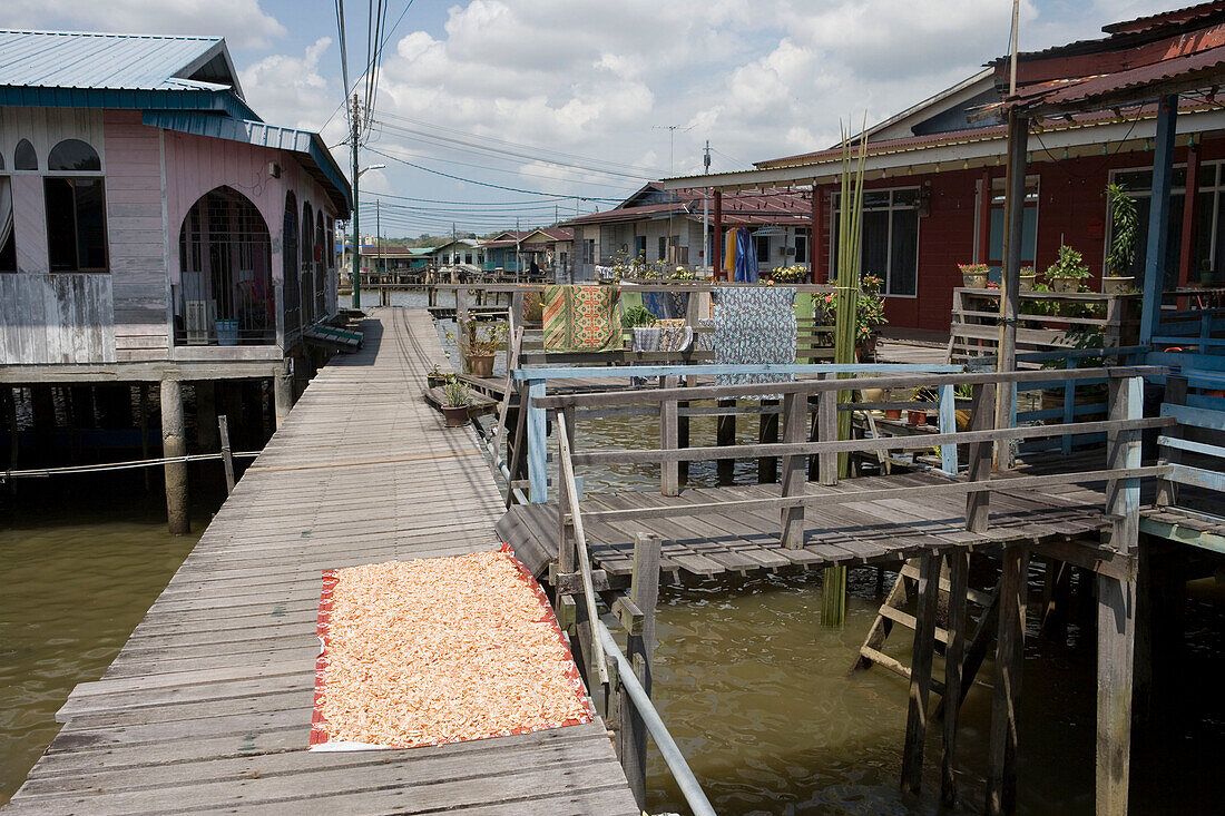 Drying Shrimp, Kampong Ayer Water Village, Bandar Seri Begawan, Brunei Darussalam, Asia