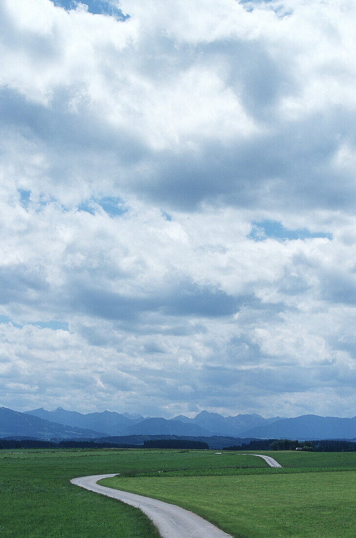 Weg durch Wiesen, im Hintergrund Wettersteinmassiv, Bayern, Deutschland