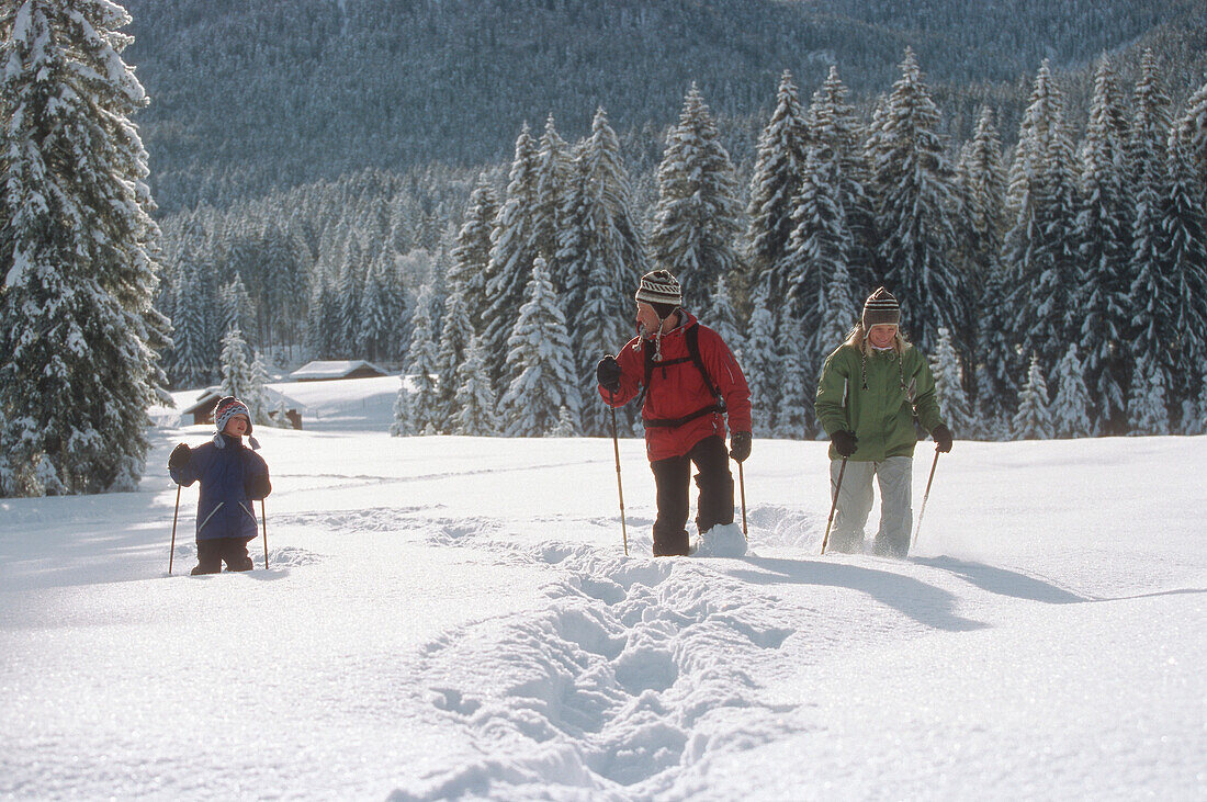 Family with one boy snowshoeing in fresh powder snow, Ellmau, Garmisch-Partenkirchen, Germany