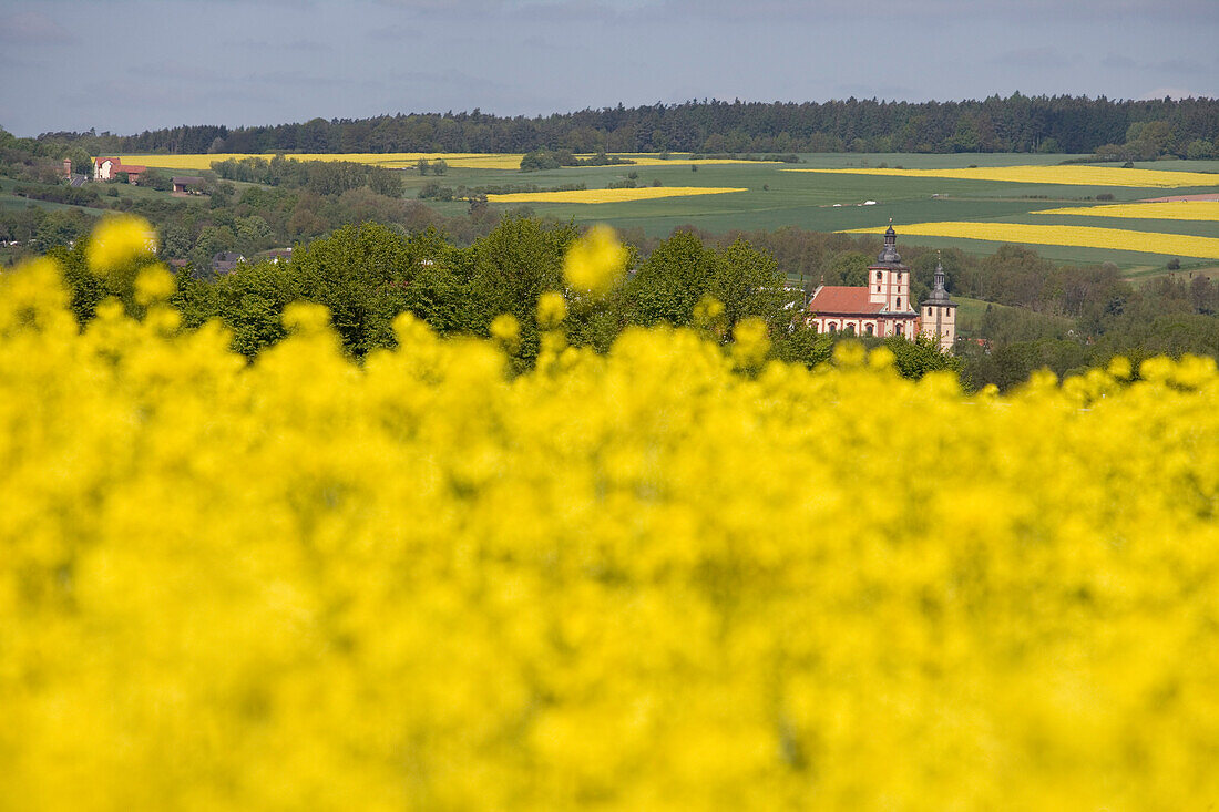 Church between canola fields, Burghaun, Rhoen, Hesse, Germany