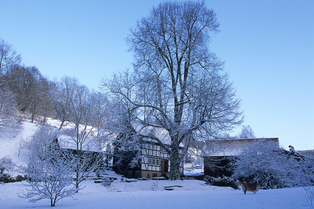 Watermill in Winter, Haunetal, Rhoen, Hesse, Germany