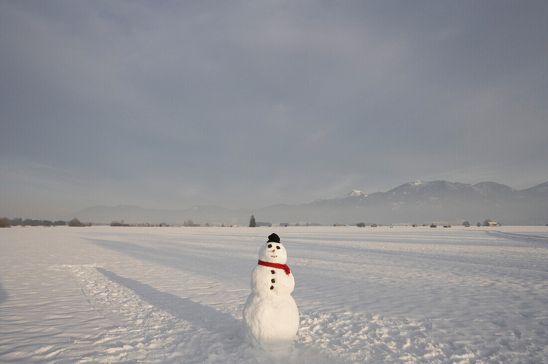 Snowman with knit hat and scarf, Bavarian Uplands