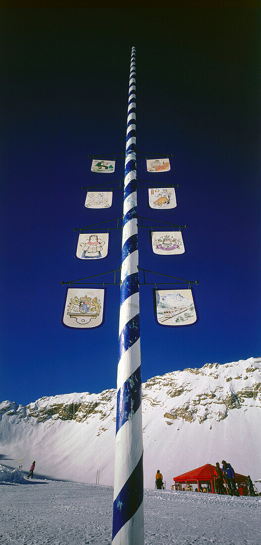 Maibaum im Winter, Zugspitze, Lkr. Garmisch, Oberbayern, Deutschland
