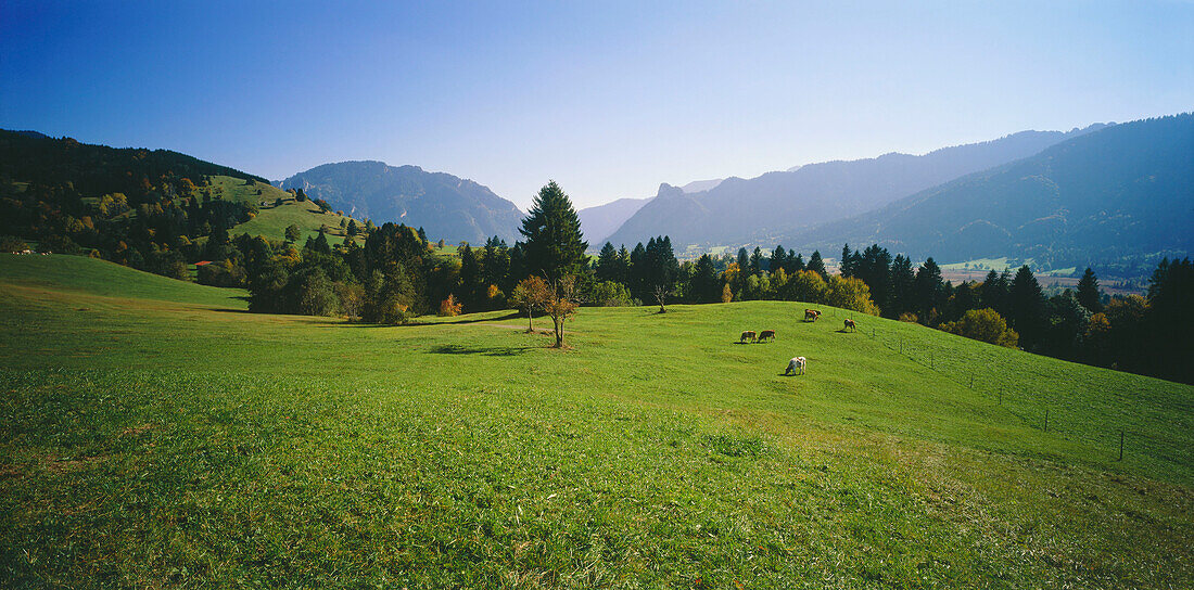 Landschaft bei Oberammergau, Oberbayern, Deutschland