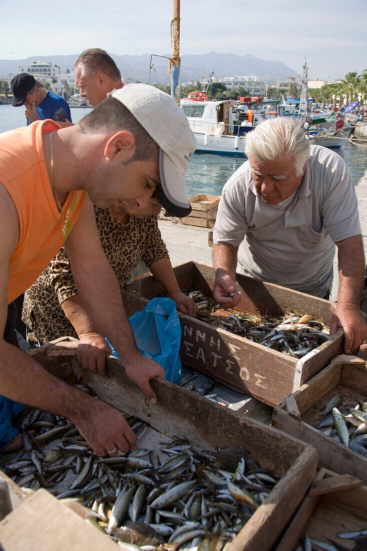 People sorting fishing at Madraki harbour, Kos-Town, Kos, Greece