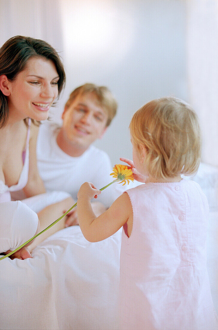 Toddler girl taking a smell at a gerbera