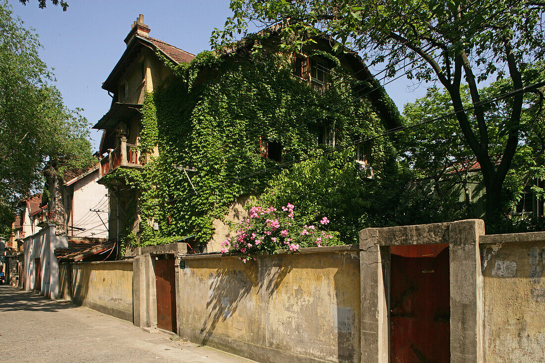 Villa, French Concession,Wohnhaus in der Französische Konzession, summer, Green, Grün, Haus