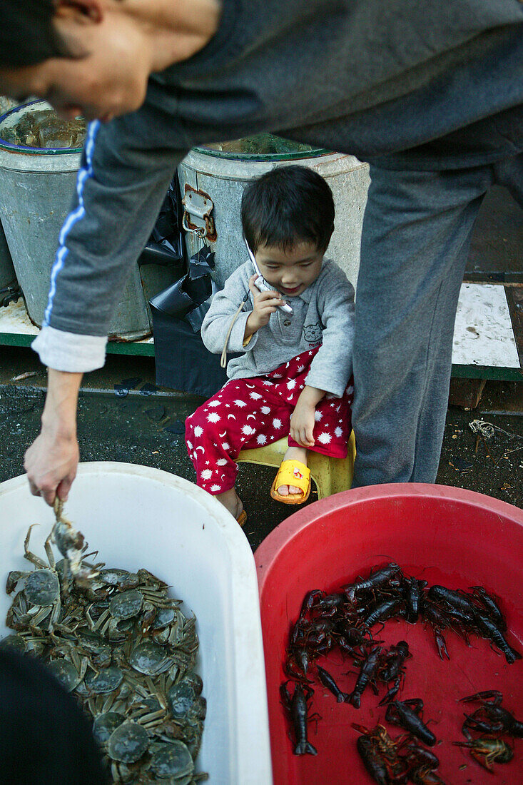 mobile phone,Mobilfunk, Handy, Telefon, chinesisch, Kind eines Krabbenverkäufers spielt mit dem Handy, child of a seafood salesman plays with a mobile phone, crab, shrimps