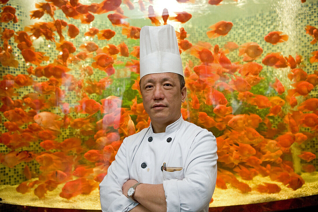 restaurant chef infront of aquarium,Aquarium mit Goldfischen, Chefkoch, Portrait