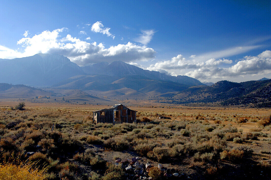 Abandoned Hut in front of the East Side of the Sierra Nevada, California, USA