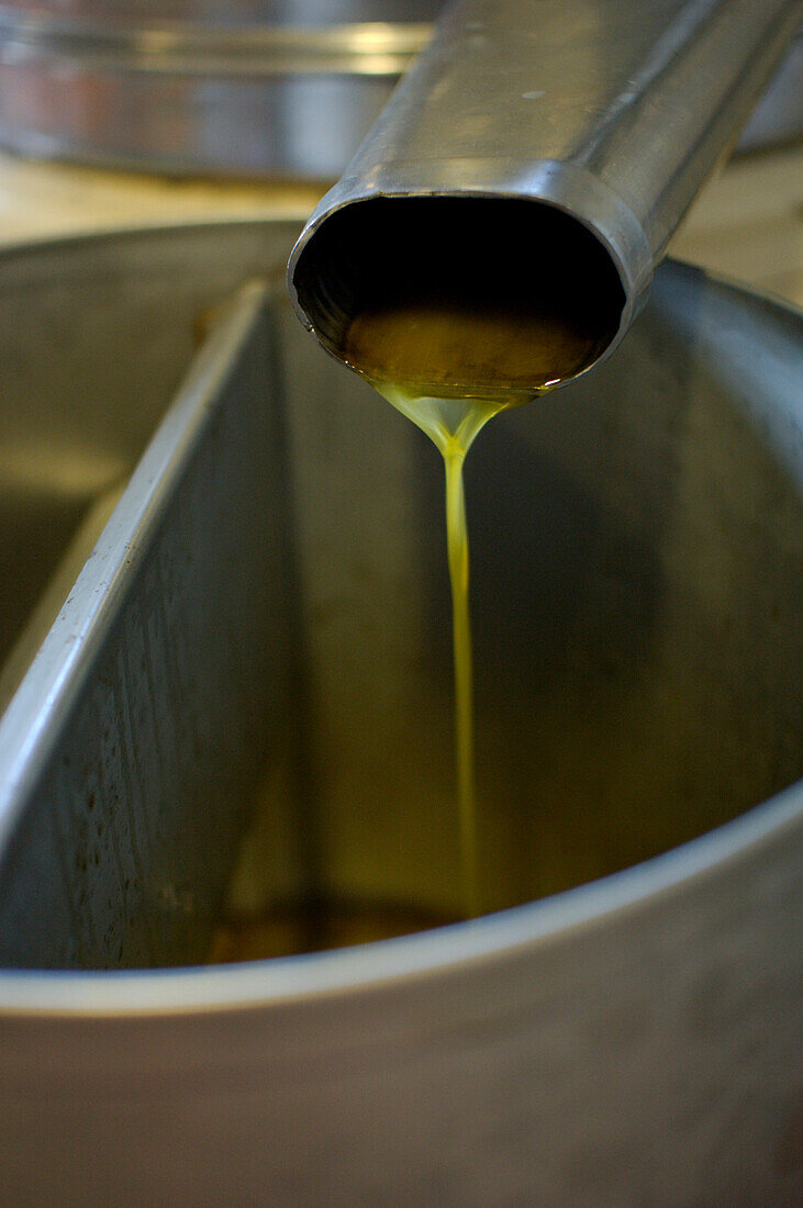 olivenpresse, umbrien, italien