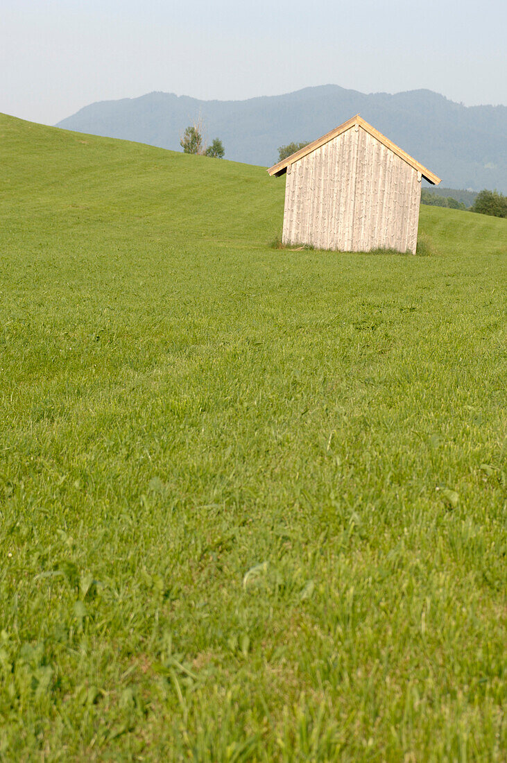 Hütte auf grüner Wiese, Antdorf, Bayern, Deutschland