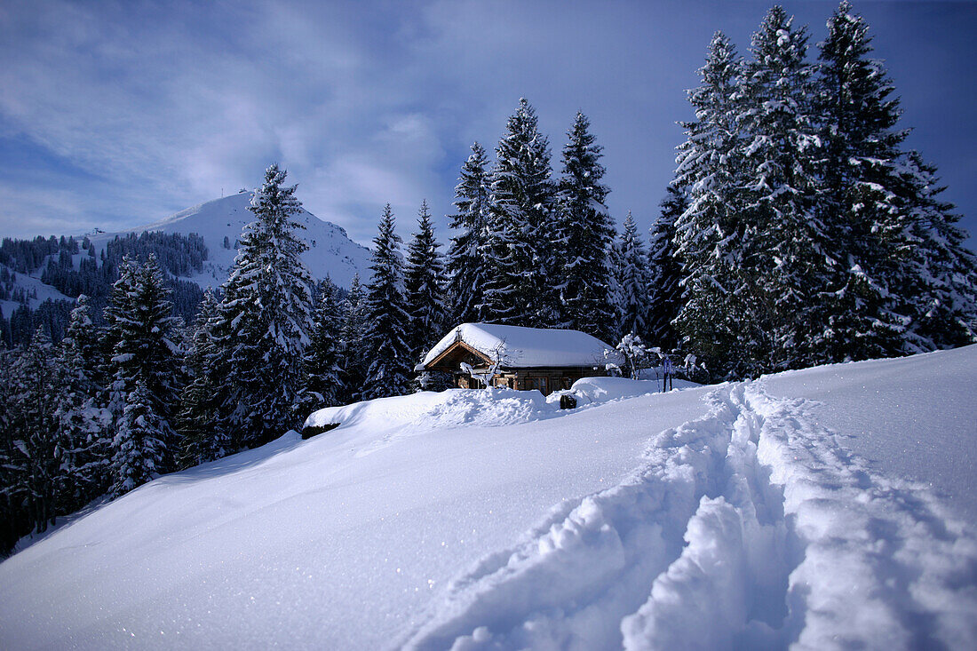 Alpine ski hut in the snow, with the Hohe Salve in the background, Brixen im Thale, Alps Tyrol, Austria