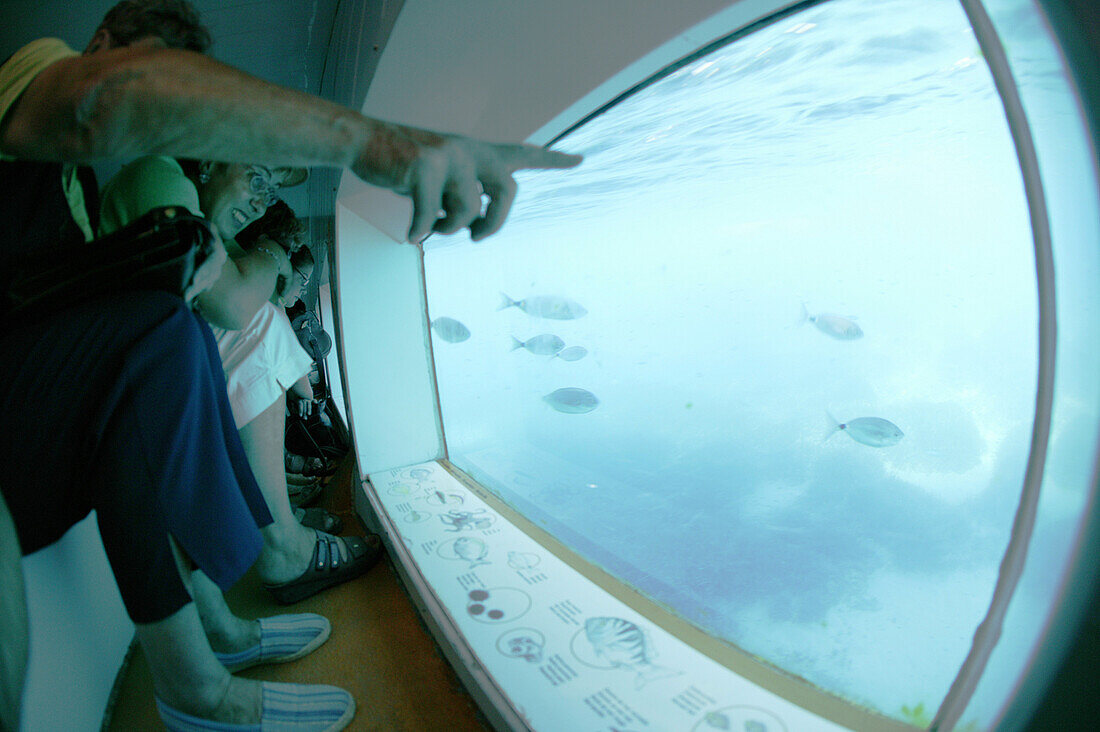 Costa Brava,Observing Fish from the Glass-Bottom Boat Nautilus, in the sea at Illes Medes, Costa Brava, Catalonia Spain