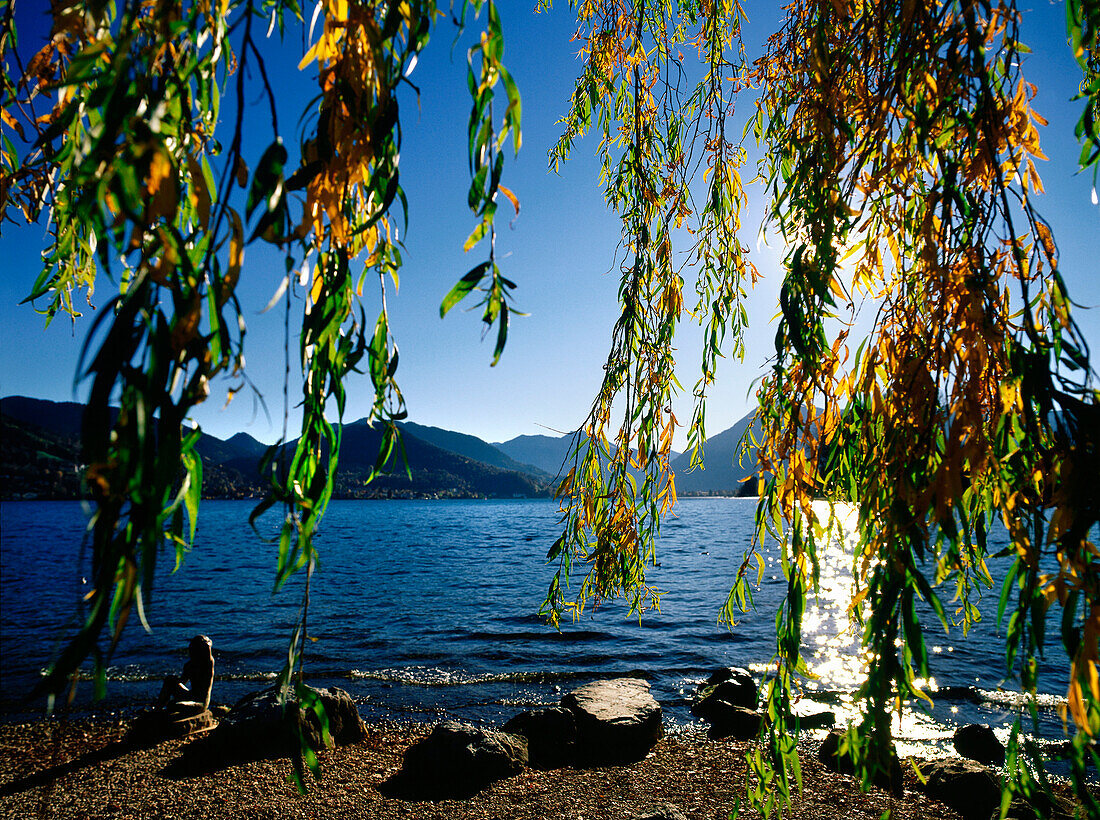 Autumnal landscape at Lake Tegernsee, Bad Wiessee, Upper Bavaria, Germany