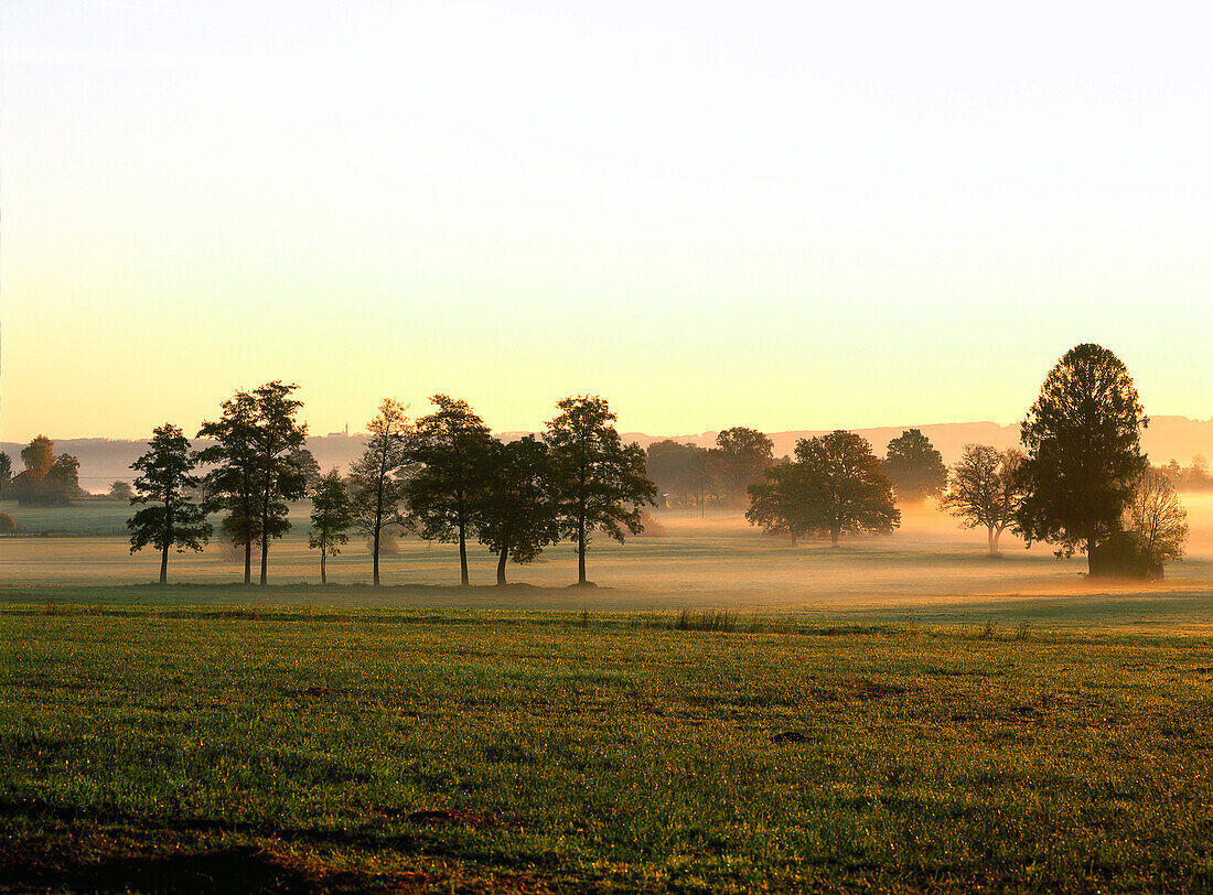 Misty Landscape near Diessen, Upper Bavaria, Germany