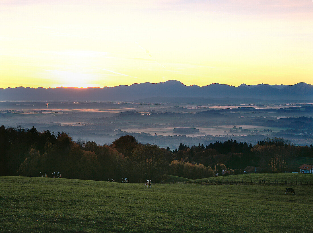 Pfaffenwinkel at sunrise, elevated view, Upper Bavaria, Germany