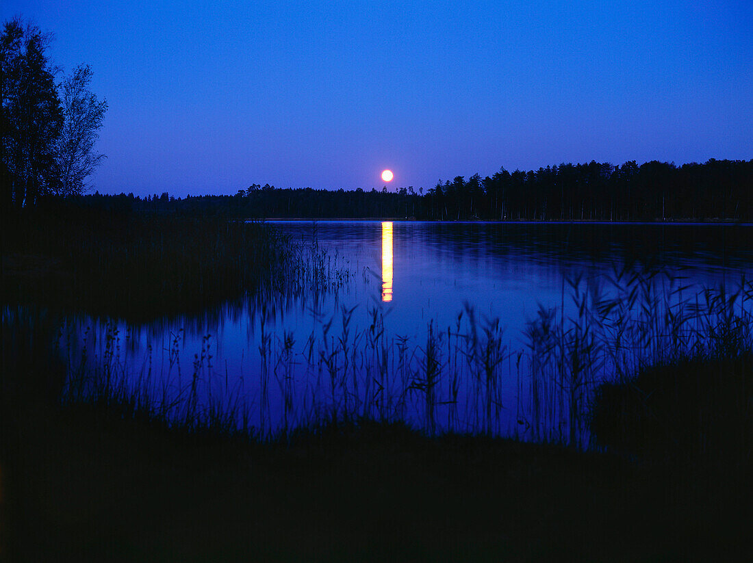Fullmoon over lake, Osterseen, Upper Bavaria, Germany