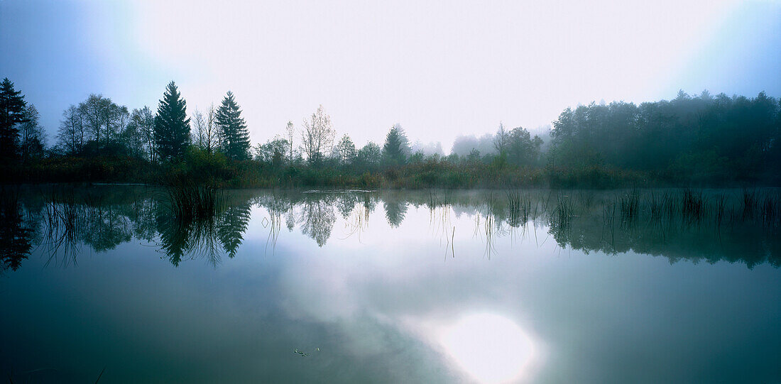 Nebel über Murnauer Moos, Bayern, Deutschland