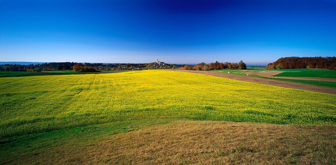 Canola field and Andechs, Upper Bavaria, Germany