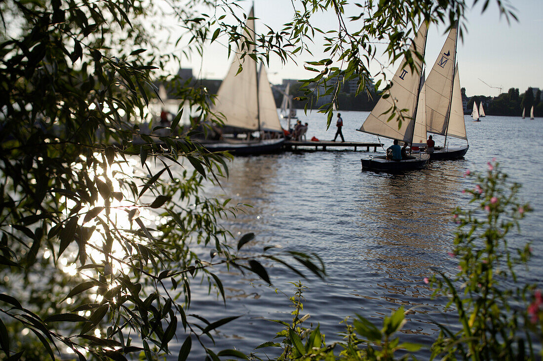 Segelboote und Jollen auf der Außenalster, Aussenalster, Hamburg