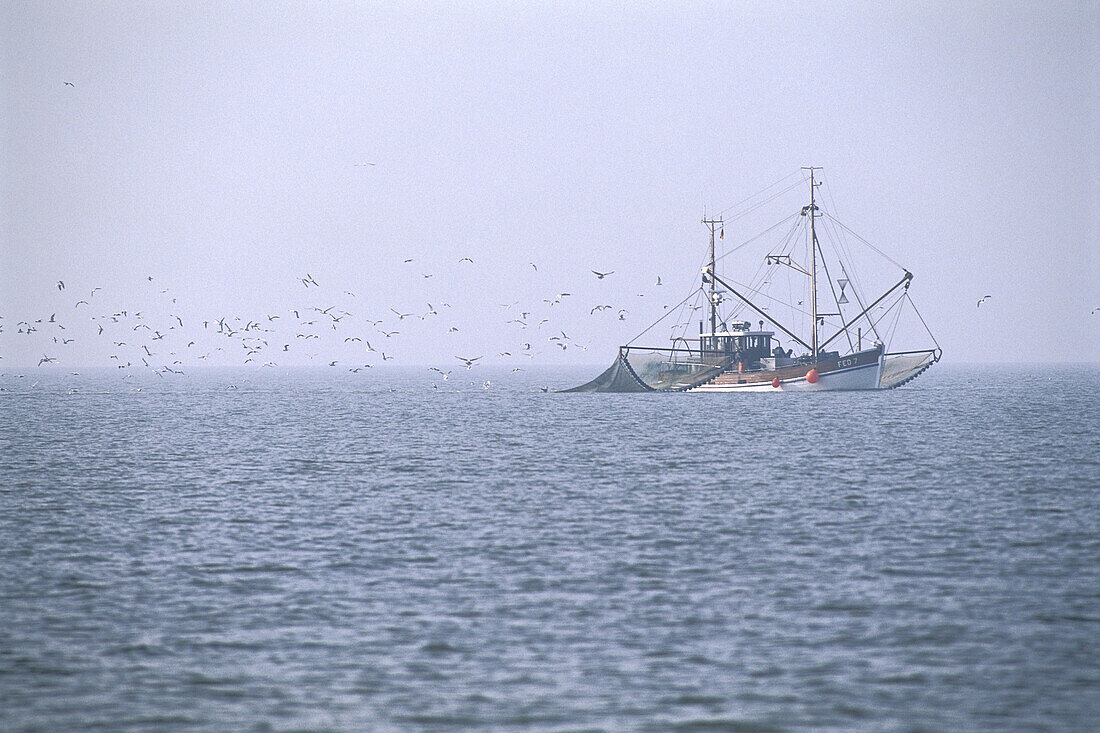 Krabbenkutter zwisch Jade und Weser, Wattenmeer, Deutschland