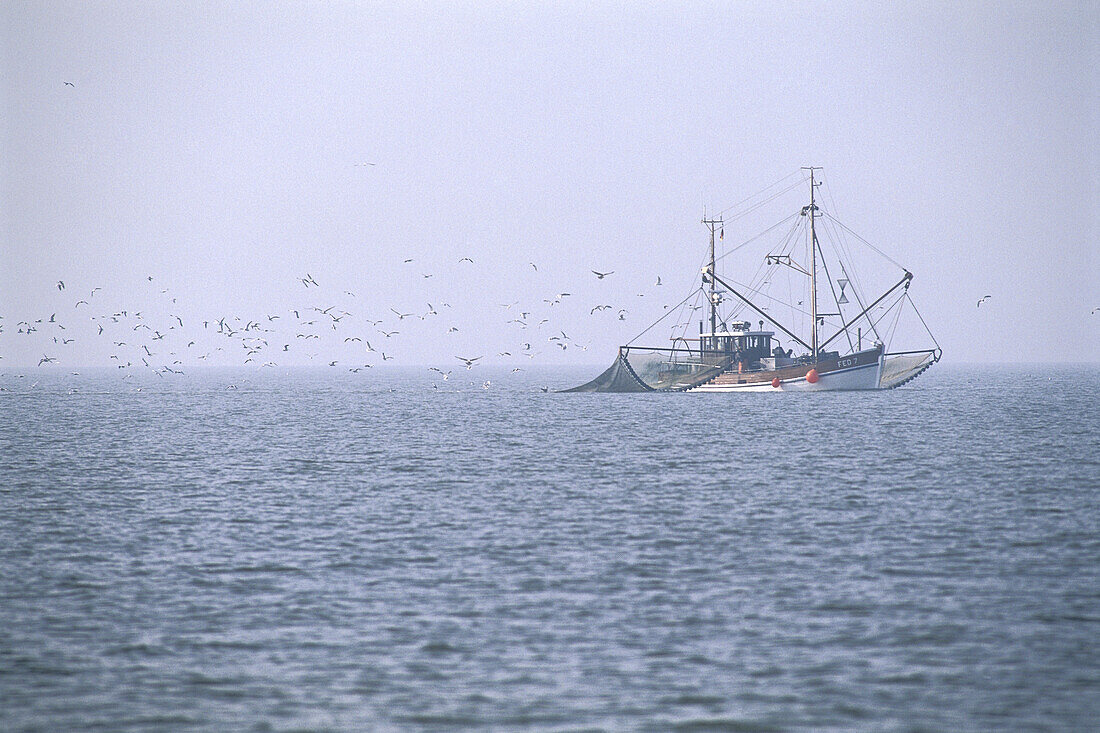 Shrimp Boat in Wadden Sea, Germany