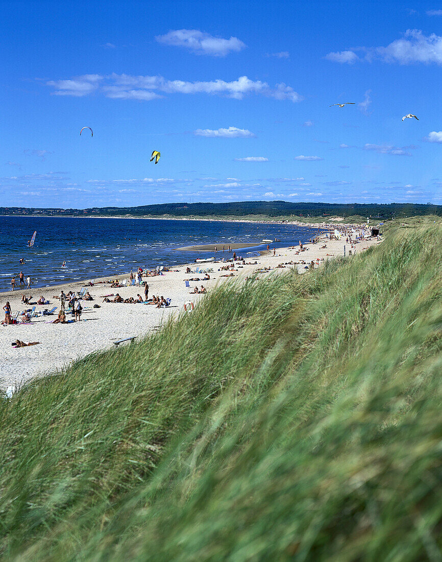 People on the beach