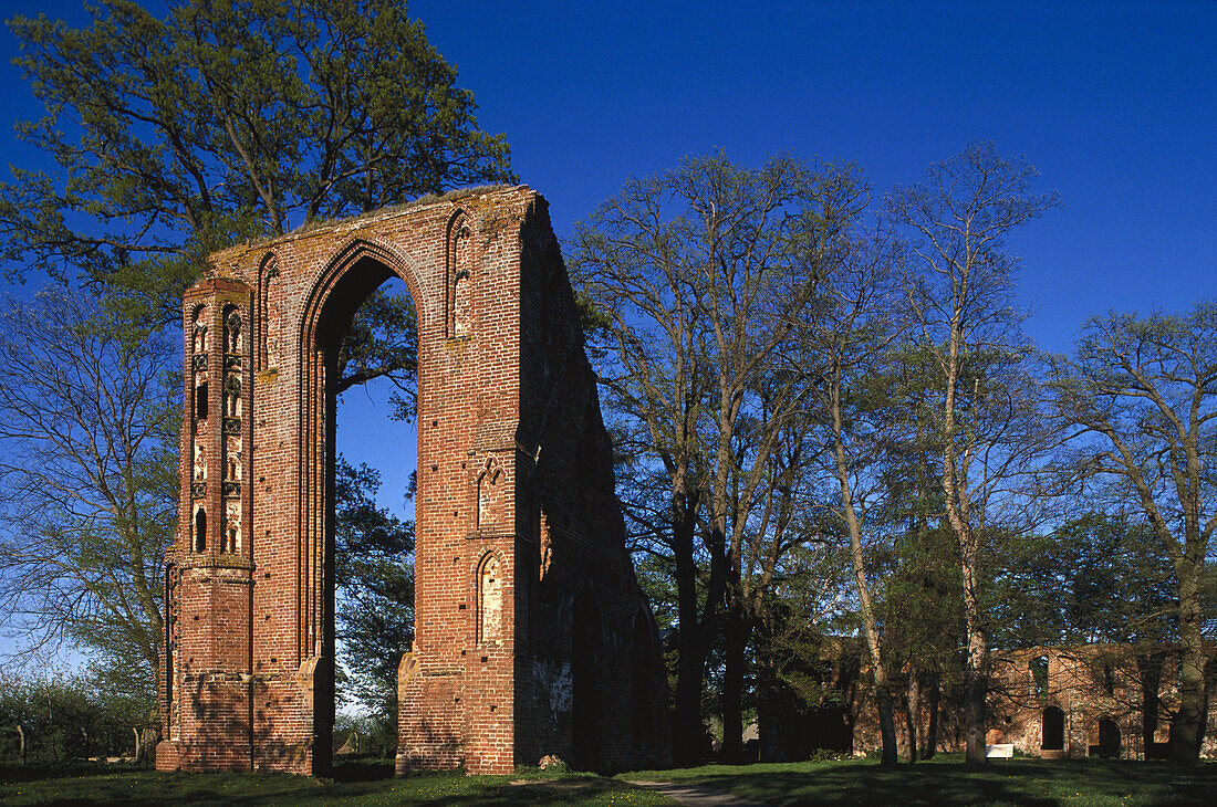 Klosterruine Eldena, Greifswald, Mecklenburg Vorpommern, Deutschland