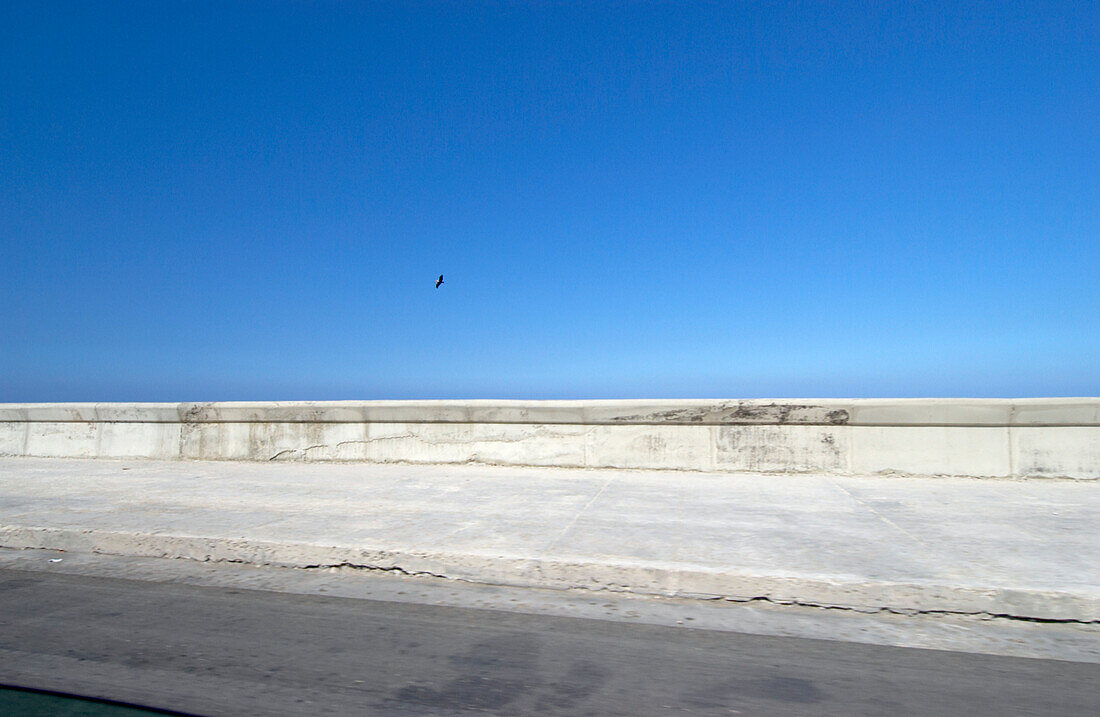 Gehweg am Malecon von Havanna, vorbeifliegender Vogel