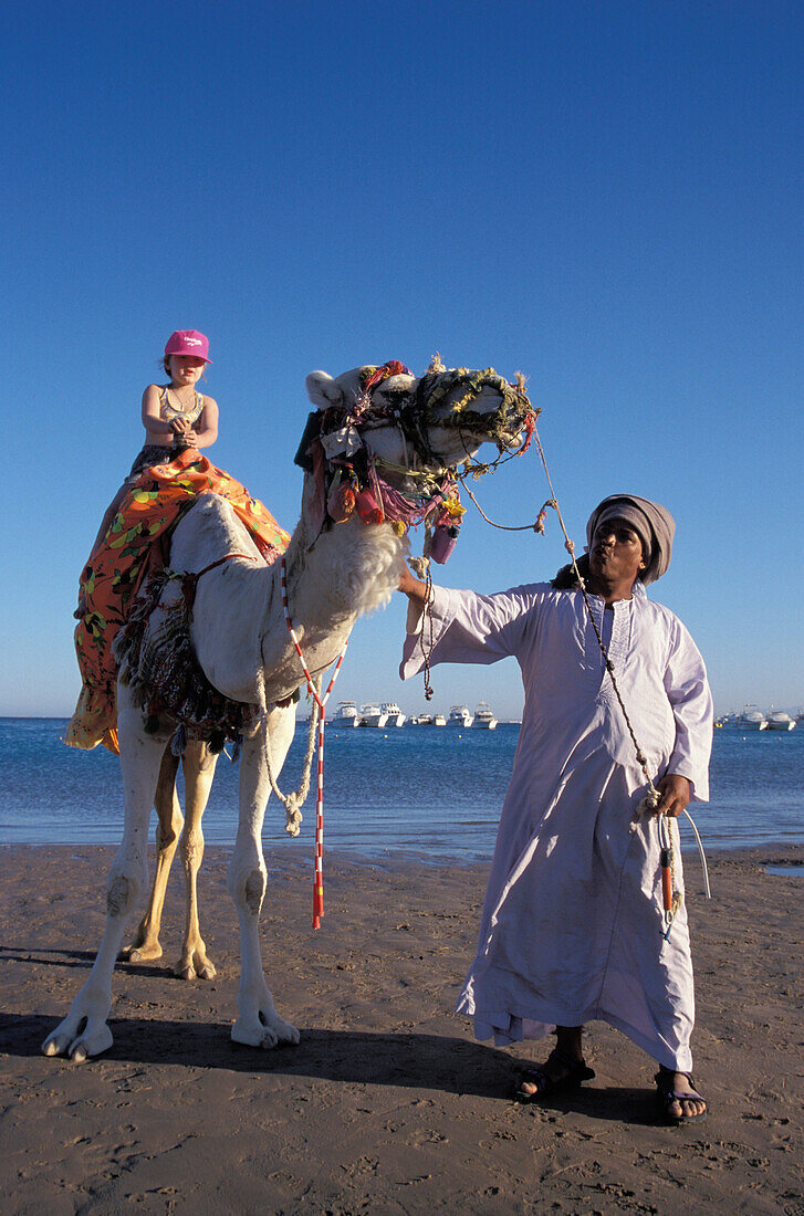 Camel Riding, Beach at Giftun Village, Hurghada, Red Sea, Egypt