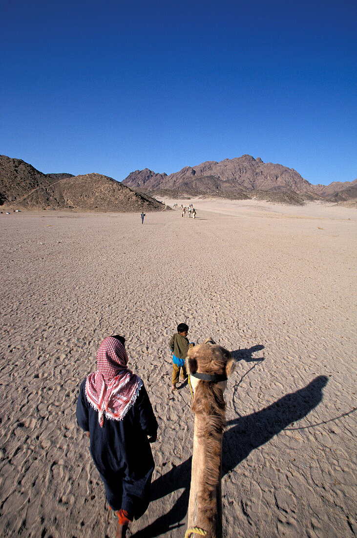 Camel trip, desert near Hurghada, Red Sea, Egypt