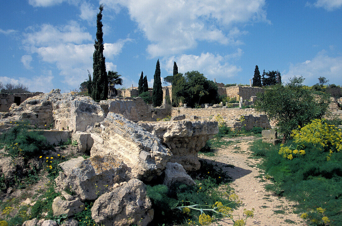 Roman Mansion, Karthagu, Tunis, Africa