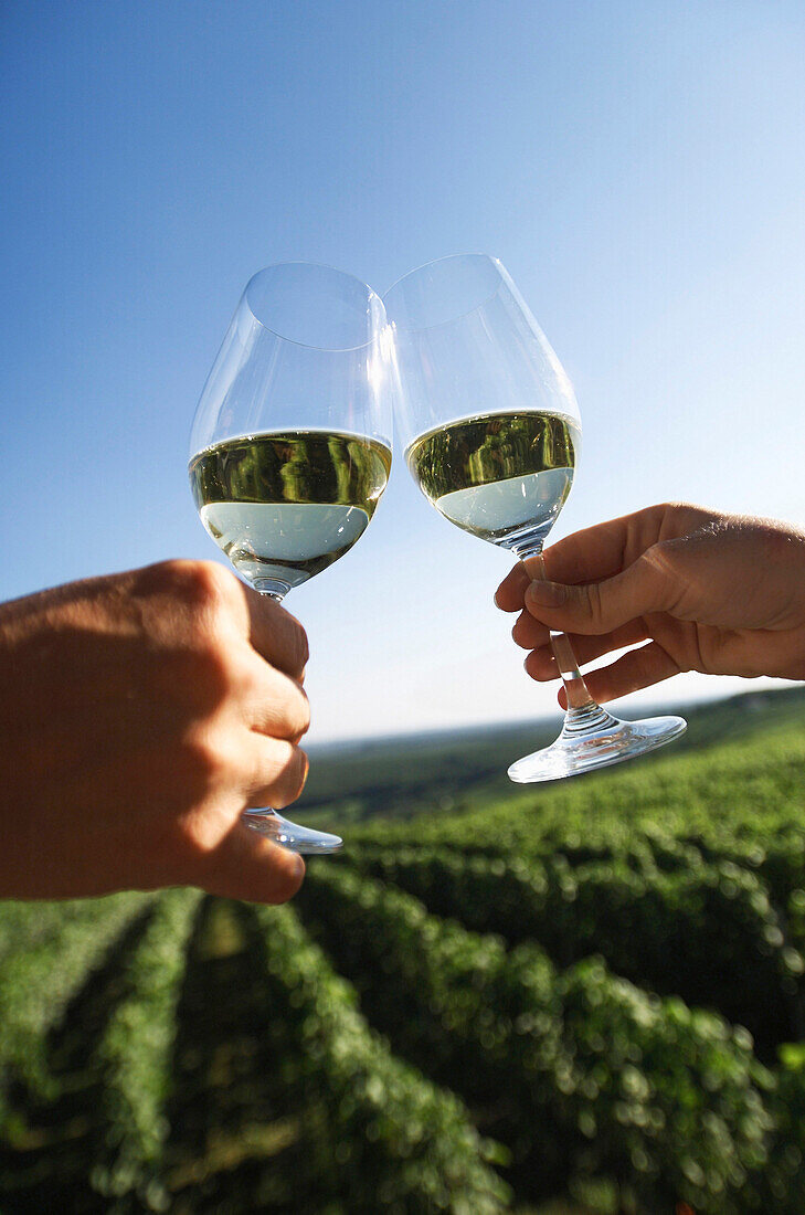 Couple clinking white wine glasses, vineyard in background