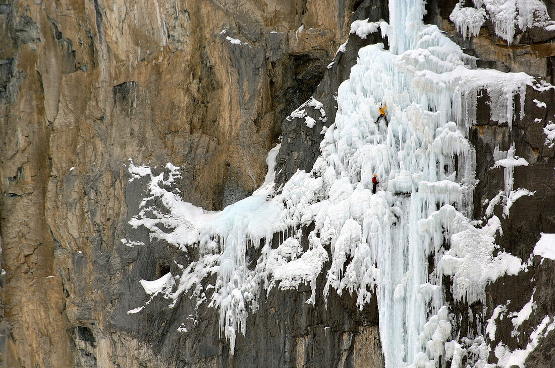 Male ice climber ascending ice, Mixed Climbing, British Columbia, Canada