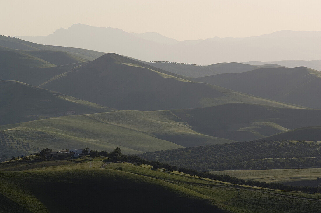 Der Grüne Gürtel von Fes, Fes, Marokko