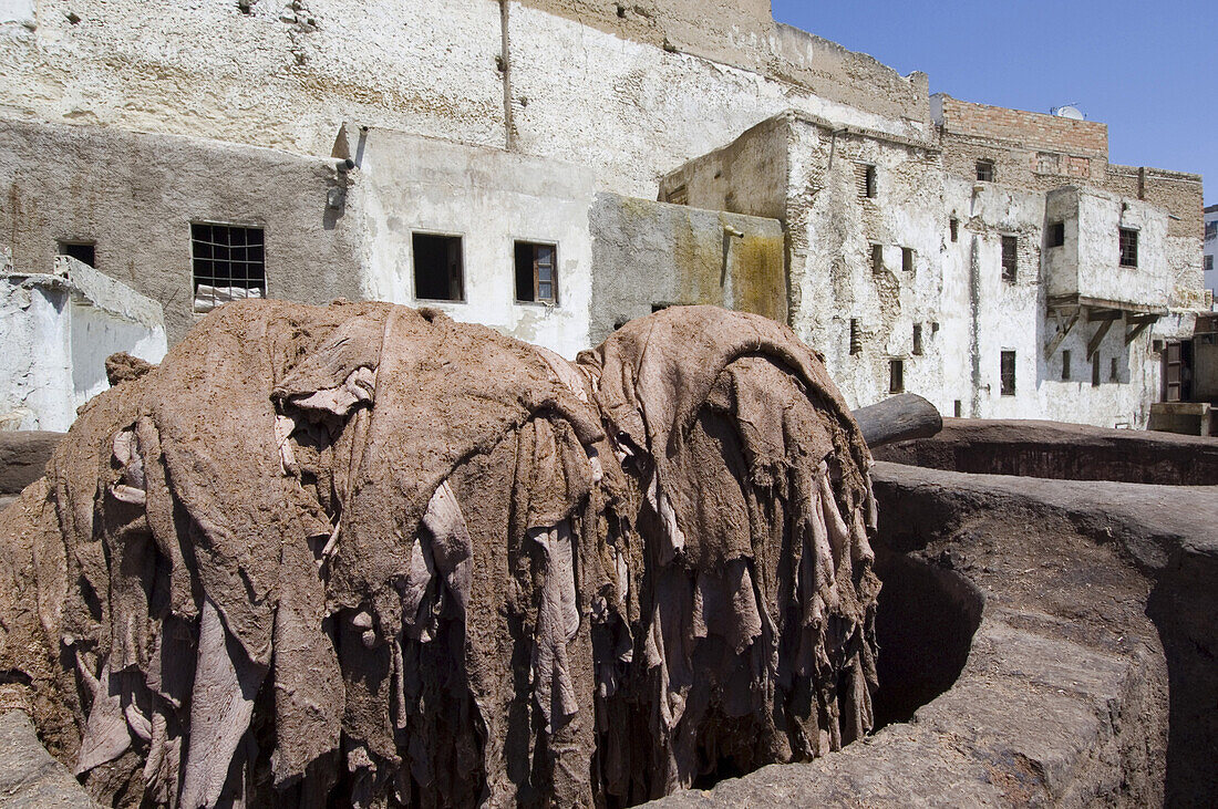 Felle im Gerberviertel, Fes, Marokko