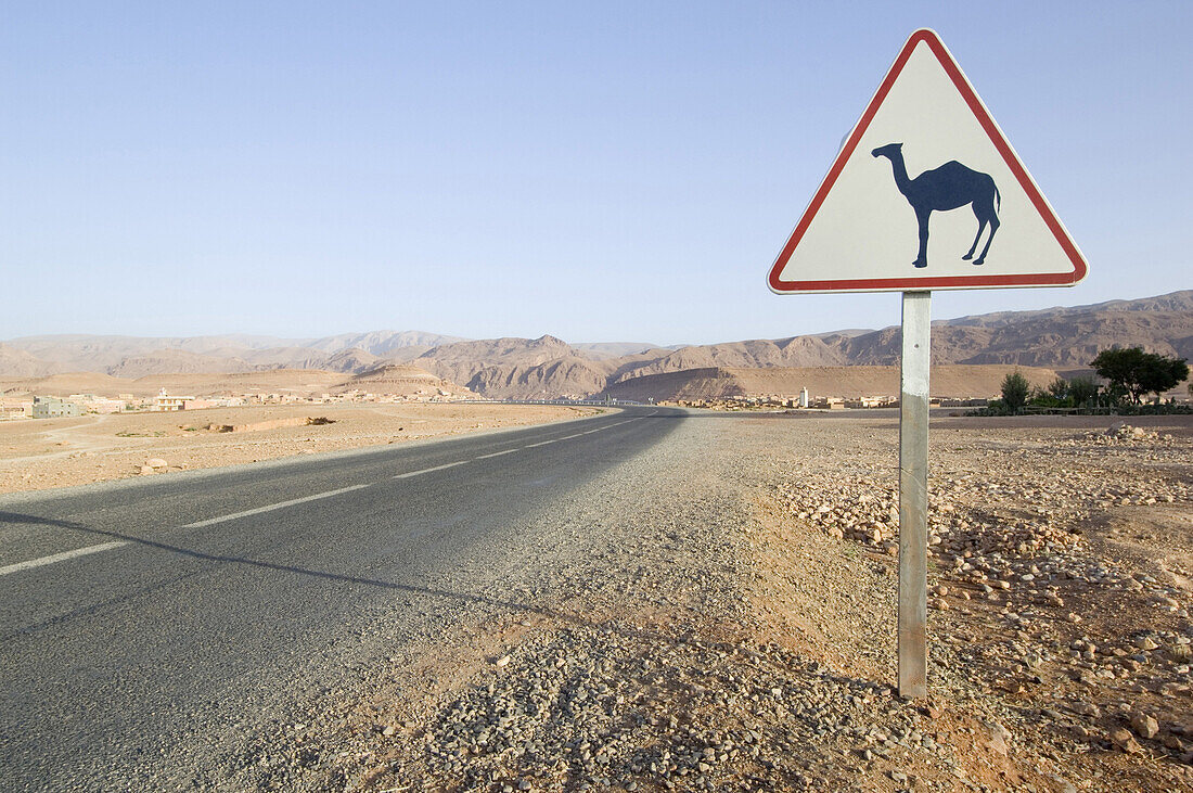 Traffic sign: Dromedar, Georges du Todra, Morocco