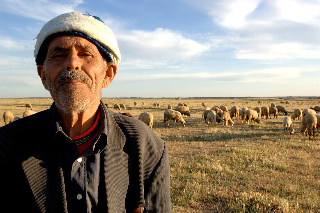 Shepherd with herd, Northern Morocco