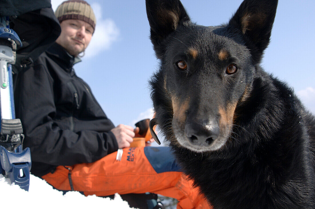 Skifahrer und Hund machen machen eine Pause, Tirol, Österreich