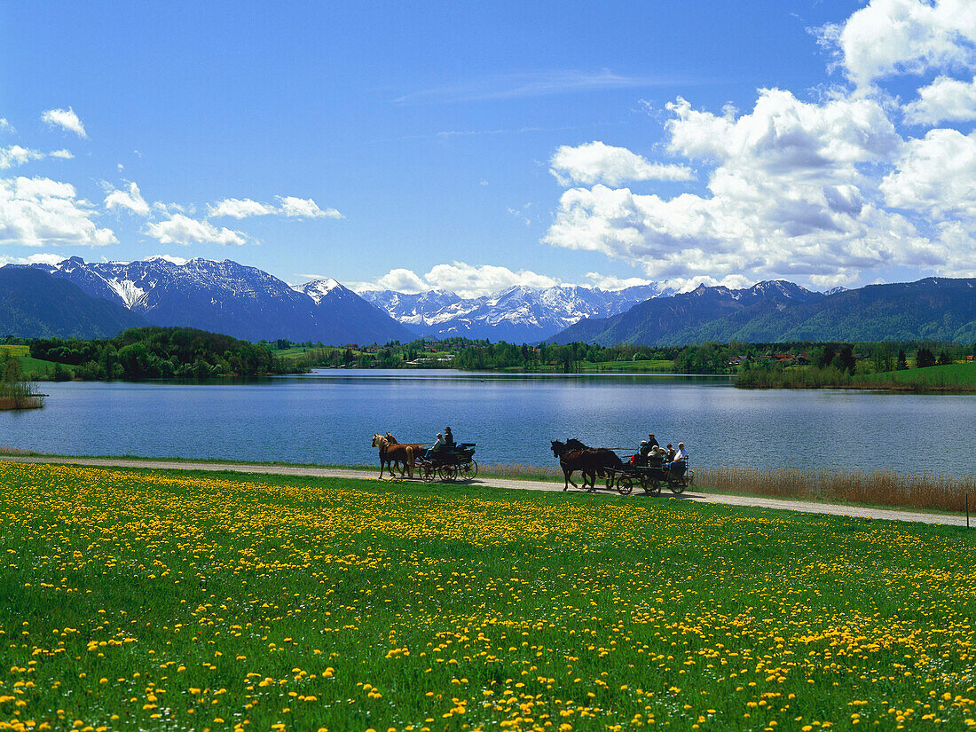 Pferdekutsche am Riegsee, Oberbayern, Deutschland