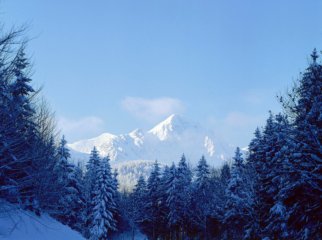 Blick auf Herzogstand, Winter, Oberbayern, Deutschland