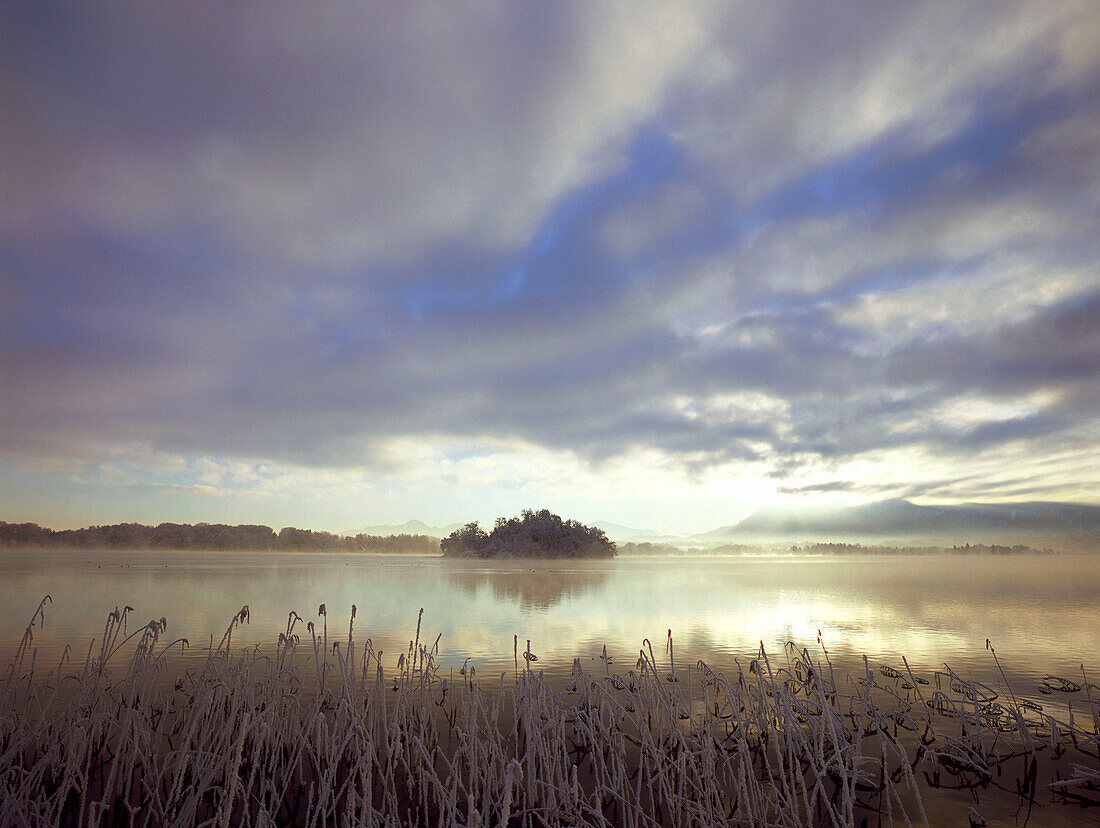 Staffelsee im Morgenlicht, Insel Mühlwörth, Blaues Land, Oberbayern, Deutschland