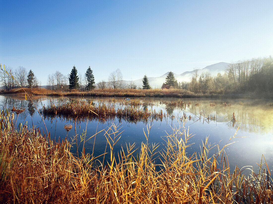 Murnauer Moos, Upper Bavaria, Germany