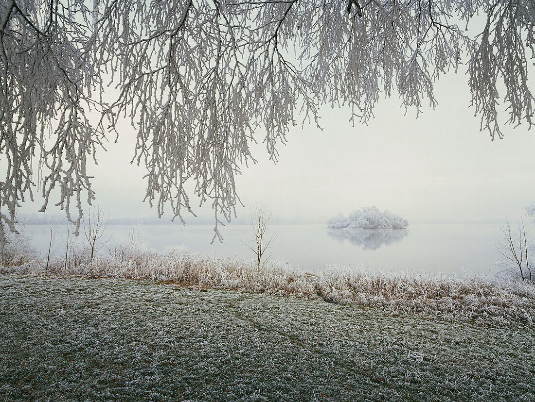 Blick auf Insel Mühlwörth, Raureif, Staffelsee, Oberbayern, Deutschland