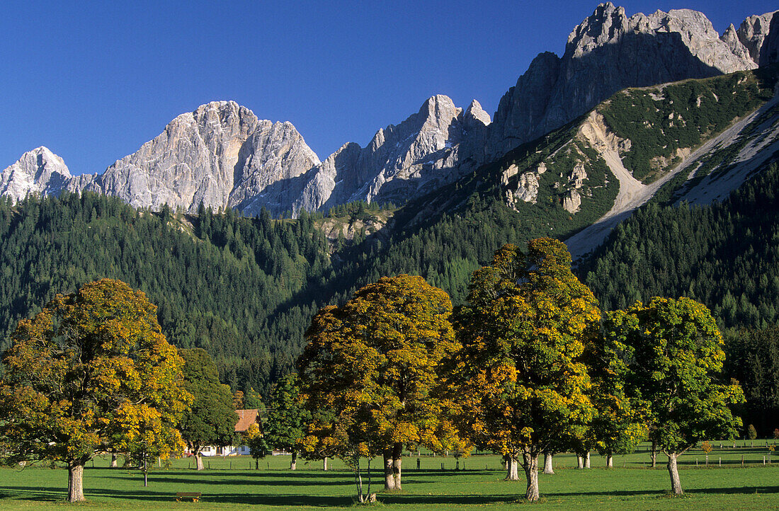 Ramsau mit Blick auf der Dachstein, Dachsteingruppe, Steiermark, Österreich