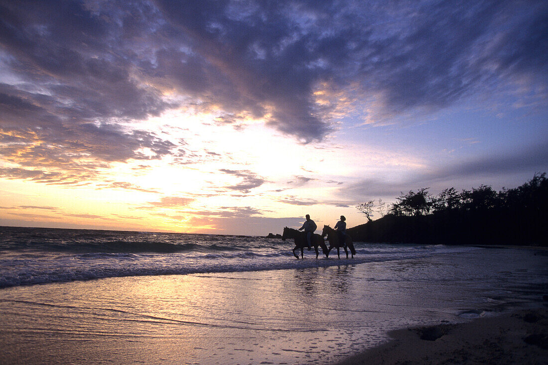 Pferderitt bei Sonnenaufgang,Turtle Island Resort, Turtle Insel, Yasawa Inseln, Fiji
