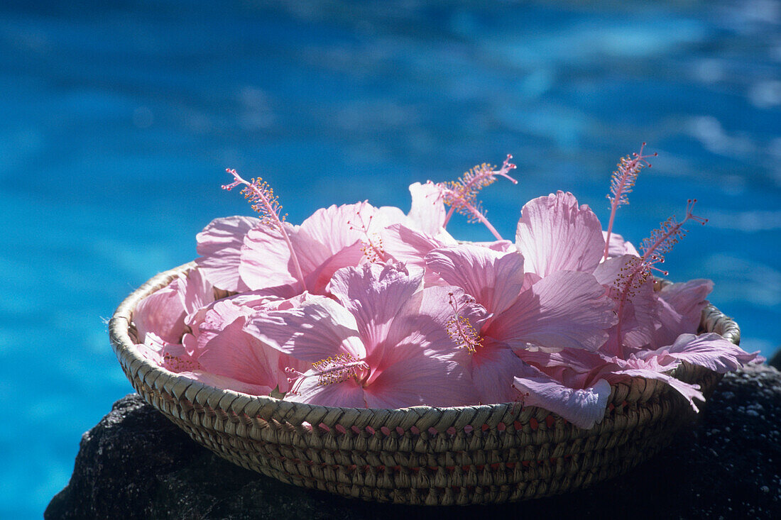 Hibiscus Basket, Tokoriki Island Resort, Tokoriki Island, Mamanuca Islands, Fiji